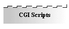 CGI Scripts