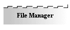 File Manager